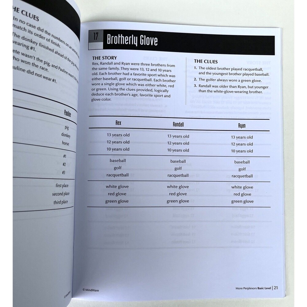 MindWare More Perplexors: Basic Level - Brainteasers - Picture 6 of 9